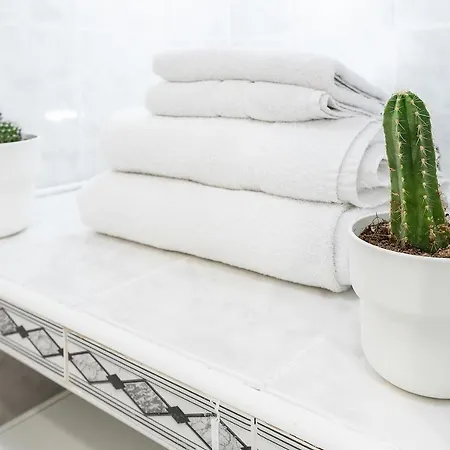 Apartamento Monkó Cactus *