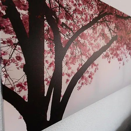 Monko Cactus * Torremolinos