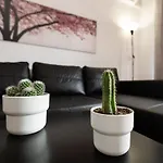 Monkó Cactus *