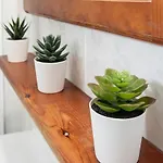 Monkó Cactus Torremolinos